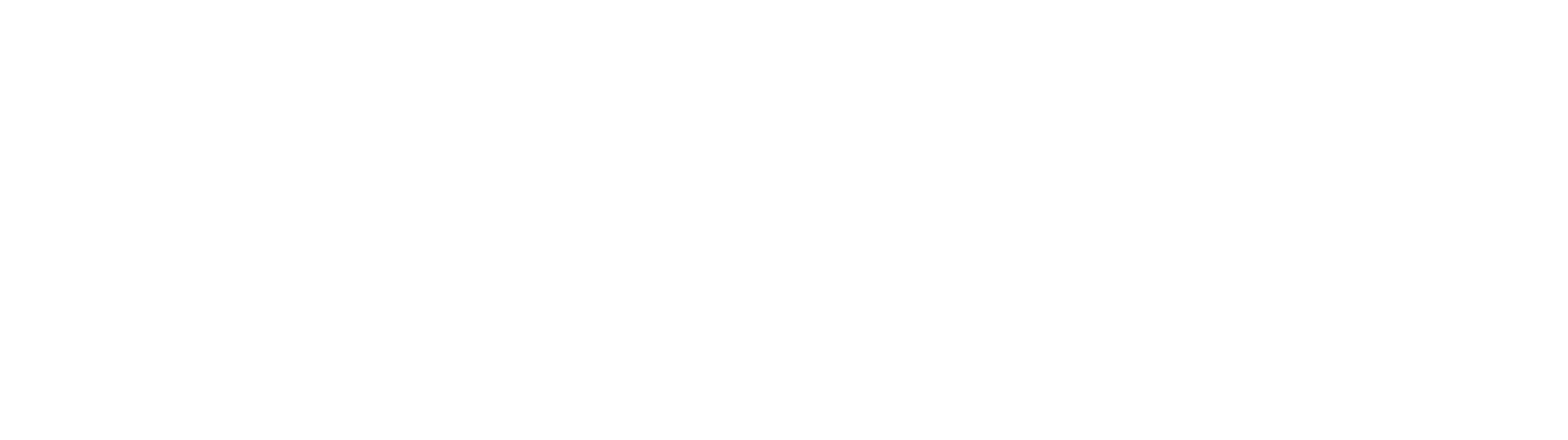 AVITA MX logo blanco